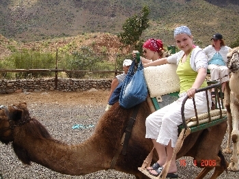 kamel